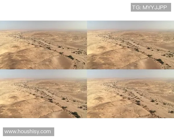 探索弗格的魅力与影响力:从历史到现代的全景视角 探索弗格的魅力与影响力:从历史到现代的全景视角