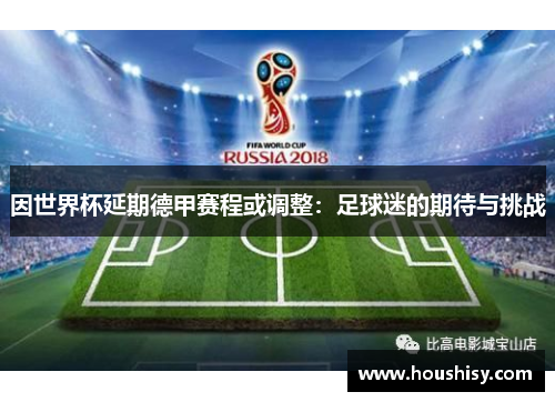 因世界杯延期德甲赛程或调整：足球迷的期待与挑战